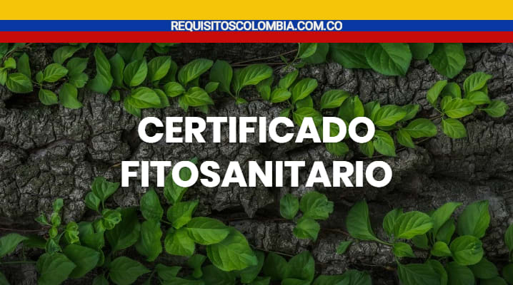 Certificado fitosanitario 
