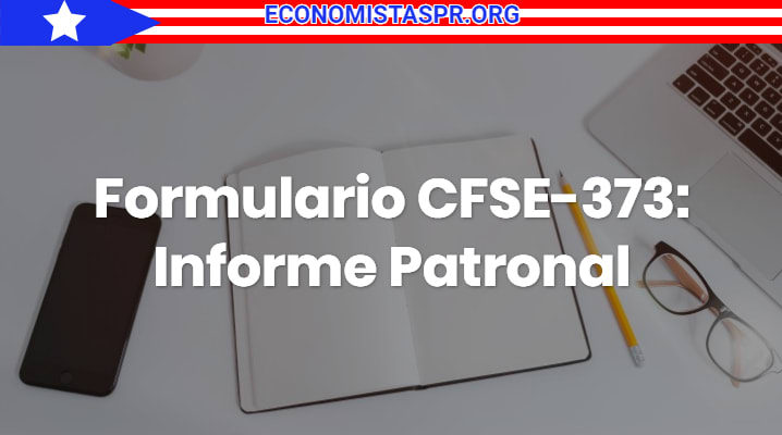 Formulario CFSE-373 