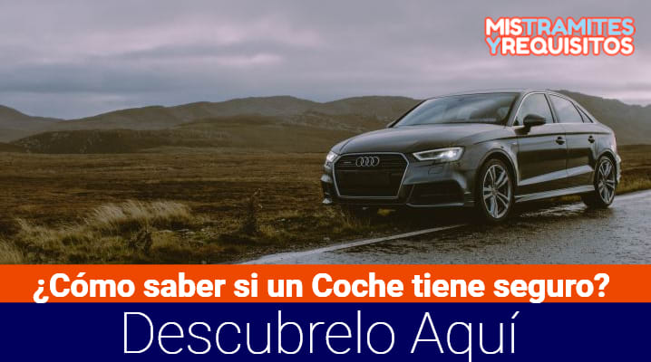 Como Saber si un Coche tiene Seguro España Guía【2020