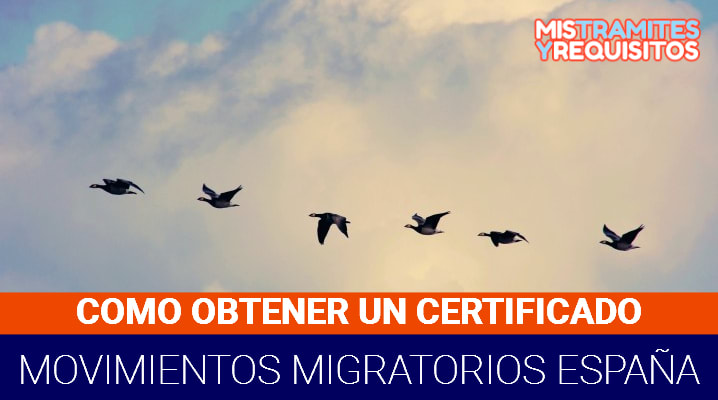 Descubre como obtener un Certificado de Movimientos Migratorios España