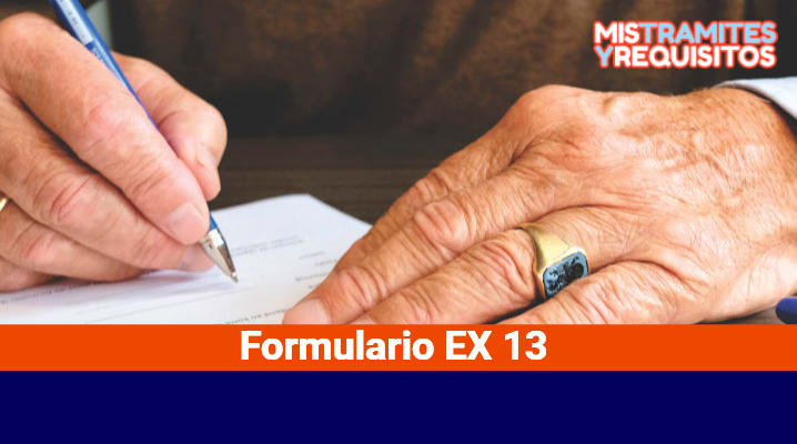 Formulario EX 13 