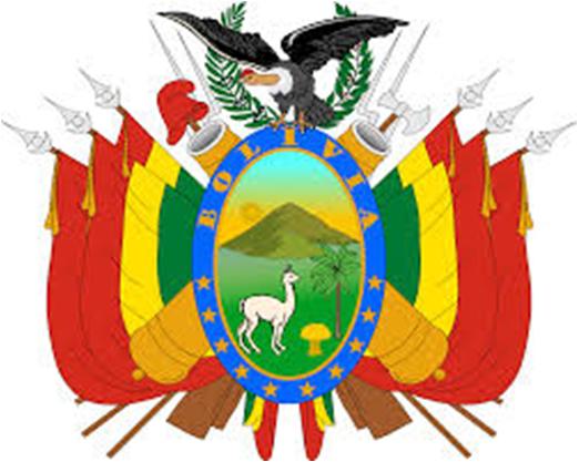 Requisitos para ser Presidente de Bolivia 