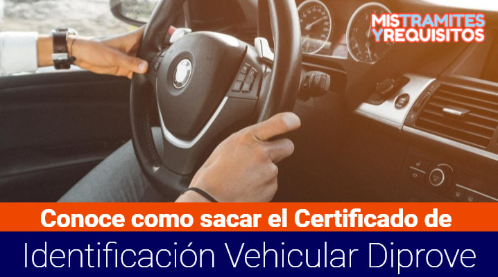 Certificado de Identificación Vehicular Diprove 