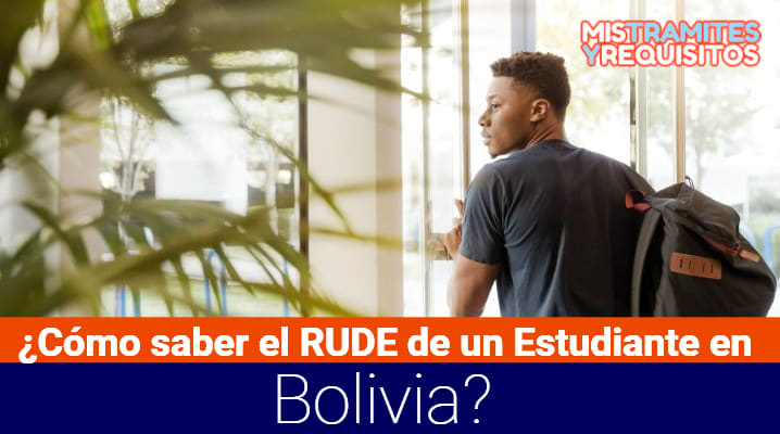 ¿Cómo saber el RUDE de un Estudiante en Bolivia?