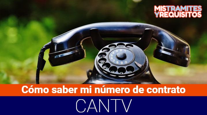 ¿Cómo saber mi número de contrato CANTV? – Consulta Online