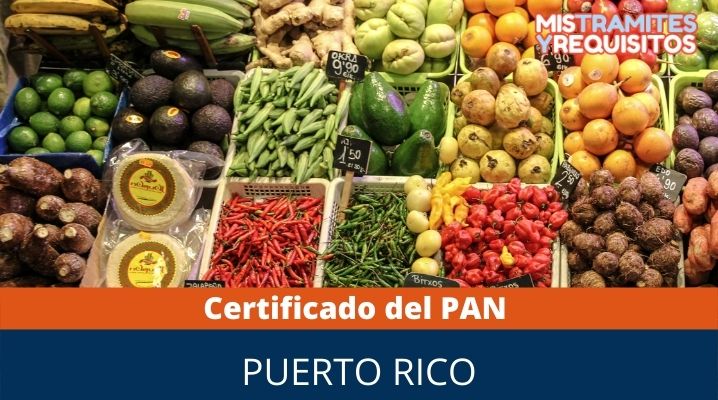 Certificado del PAN Puerto Rico