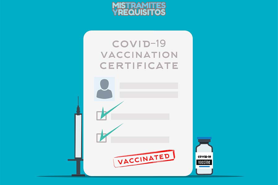certificado-de-vacunas-online-1